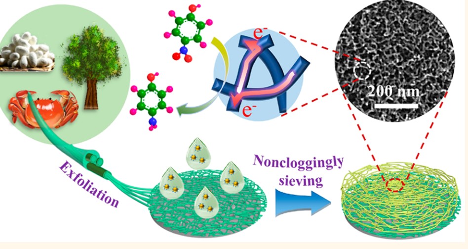 Noncloggingly Sieving Sub‑6 nm Nanoparticles of Noble Metals into Conductive Mesoporous Foams with Biological Nanofibrils. ACS Nano  Z. Wang, J. Xu, P. Wang, Y. Zhang, J. You,* and C. Li*. DOI: 10.1021/acsnano.9b07923